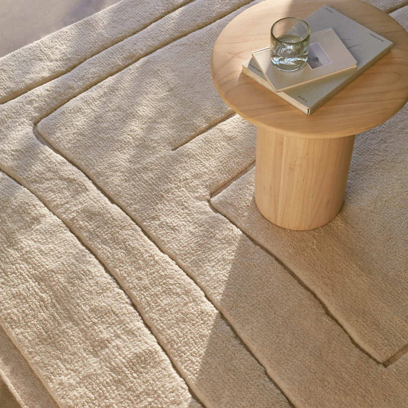 Ishir Hand-Knotted Area Rug