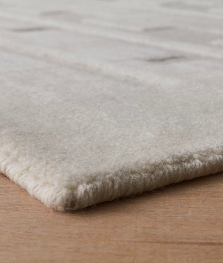 Amyra Hand-Knotted Area Rug